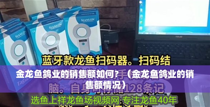 金龍魚鴿業(yè)的銷售額如何？（金龍魚鴿業(yè)的銷售額情況）