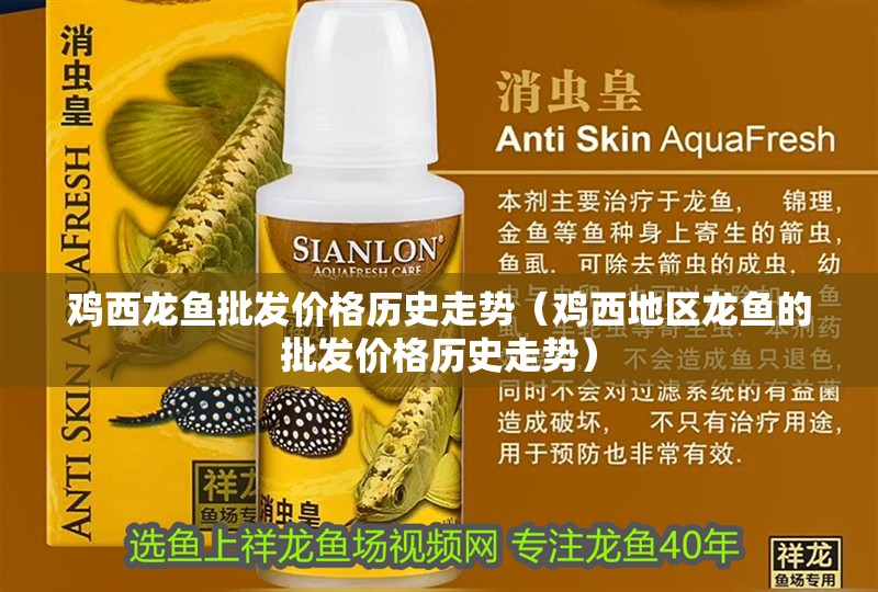 雞西龍魚批發價格歷史走勢（雞西地區龍魚的批發價格歷史走勢）