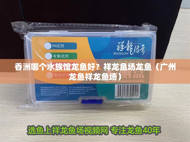 香洲哪個水族館龍魚好？祥龍魚場龍魚（廣州龍魚祥龍魚場） 香洲哪個水族館龍魚好？祥龍魚場龍魚（廣州龍魚祥龍魚場） 龍魚百科