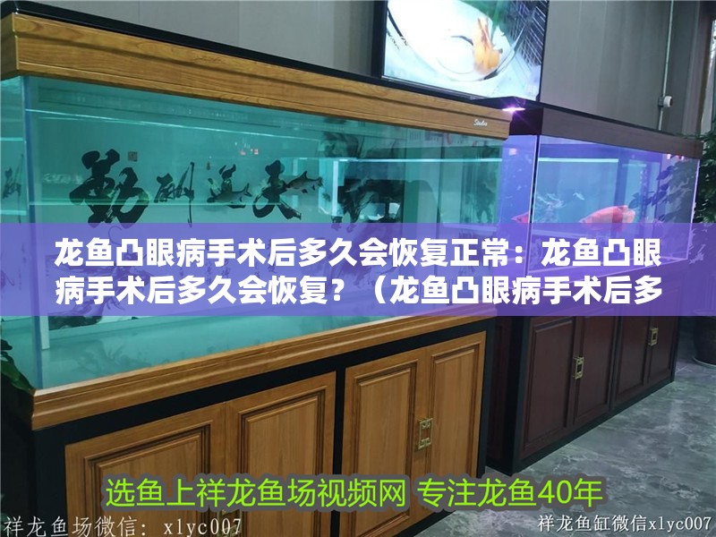 龍魚凸眼病手術后多久會恢復正常：龍魚凸眼病手術后多久會恢復？（龍魚凸眼病手術后多久會恢復）
