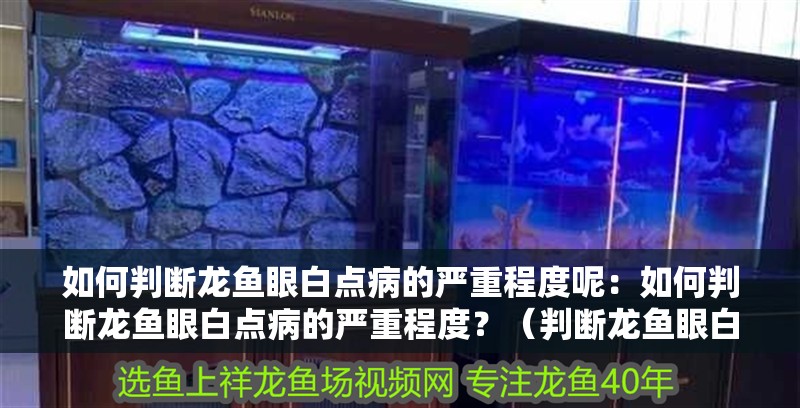 如何判斷龍魚眼白點病的嚴重程度呢：如何判斷龍魚眼白點病的嚴重程度？（判斷龍魚眼白點病的嚴重程度）