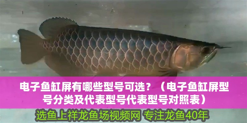 電子魚缸屏有哪些型號可選？（電子魚缸屏型號分類及代表型號代表型號對照表）
