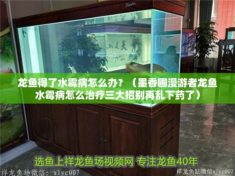 龍魚得了水霉病怎么辦？（墨香圃漫游者龍魚水霉病怎么治療三大招別再亂下藥了） 龍魚得了水霉病怎么辦？（墨香圃漫游者龍魚水霉病怎么治療三大招別再亂下藥了） 龍魚百科