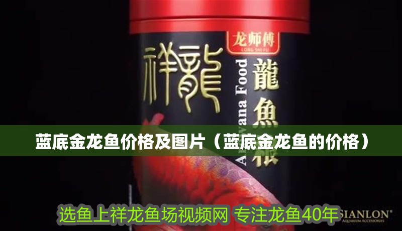 藍(lán)底金龍魚價(jià)格及圖片（藍(lán)底金龍魚的價(jià)格） 藍(lán)底金龍魚價(jià)格及圖片（藍(lán)底金龍魚的價(jià)格） 觀賞魚百科