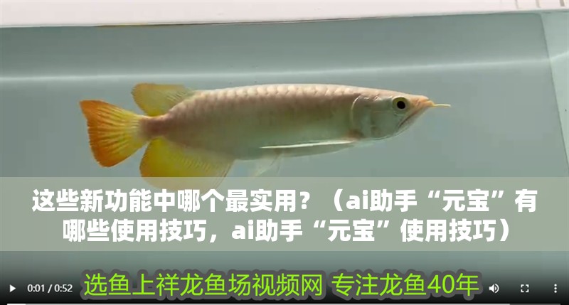 這些新功能中哪個最實用？（ai助手“元寶”有哪些使用技巧，ai助手“元寶”使用技巧）