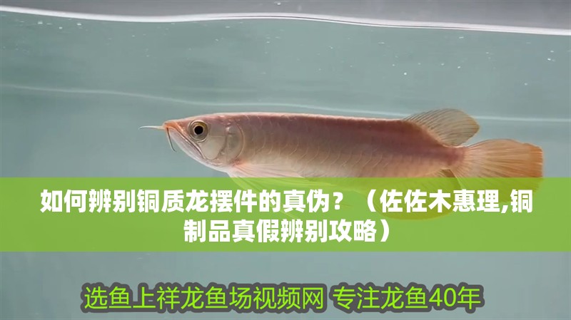 如何辨別銅質龍擺件的真偽？（佐佐木惠理,銅制品真假辨別攻略）