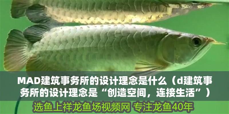 MAD建筑事務所的設計理念是什么（d建筑事務所的設計理念是“創造空間，連接生活”）