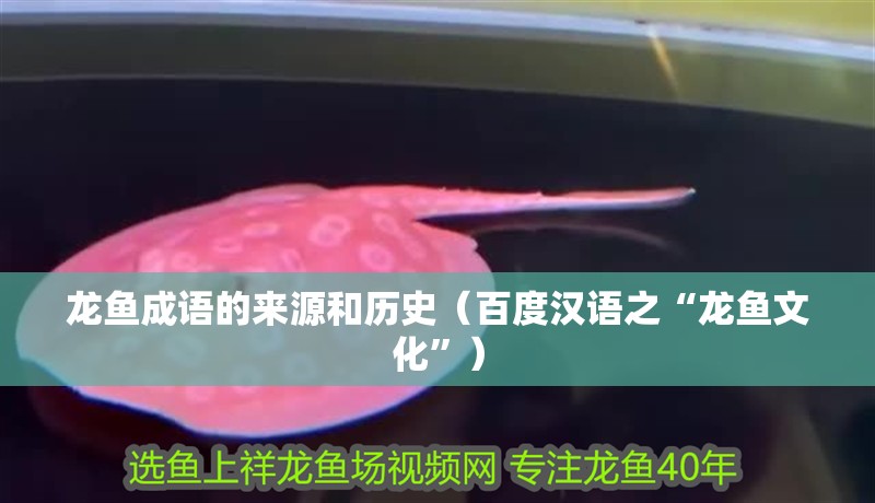 龍魚成語的來源和歷史（百度漢語之“龍魚文化”）