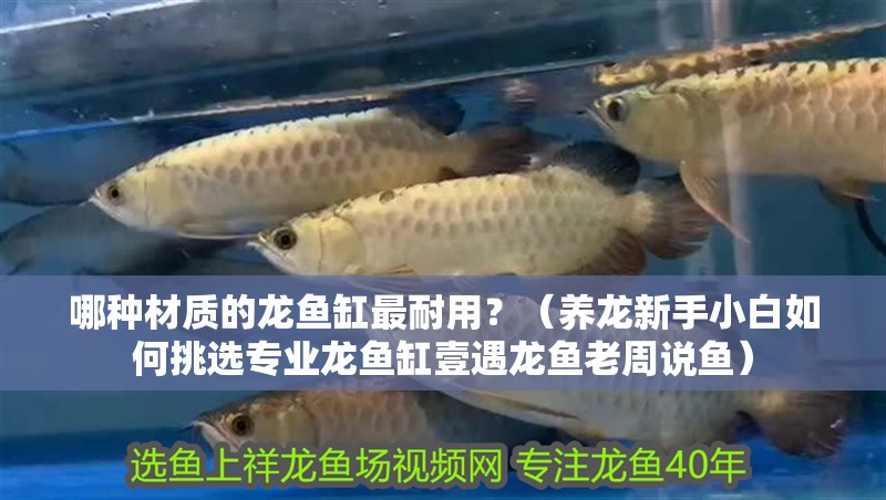 魚缸用增氧泵價格是多少:魚缸增氧機-xtrac增氧機-xtrac增氧機 哪種材質的龍魚缸最耐用?(養龍新手小白如何挑選專業龍魚缸壹遇龍魚老周說魚) 龍魚百科 哪種材質的龍魚缸最耐用?(養龍新手小白如何挑選專業龍魚缸壹遇龍魚老周說魚) 哪種材質的龍魚缸最耐用?(養龍新手小白如何挑選專業龍魚缸壹遇龍魚老周說魚) 龍魚百科