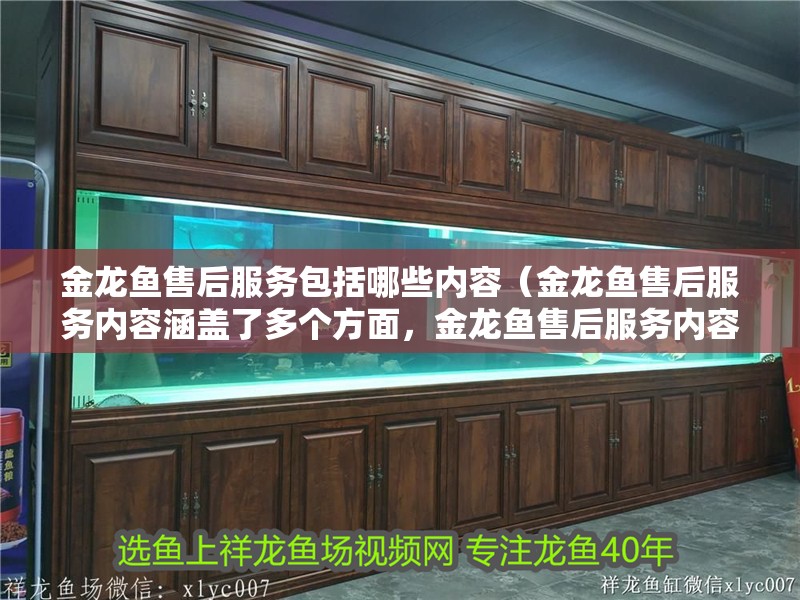 金龍魚售后服務(wù)包括哪些內(nèi)容（金龍魚售后服務(wù)內(nèi)容涵蓋了多個(gè)方面，金龍魚售后服務(wù)內(nèi)容包括）