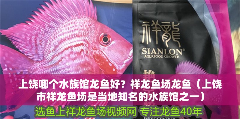上饒哪個水族館龍魚好？祥龍魚場龍魚（上饒市祥龍魚場是當地知名的水族館之一）