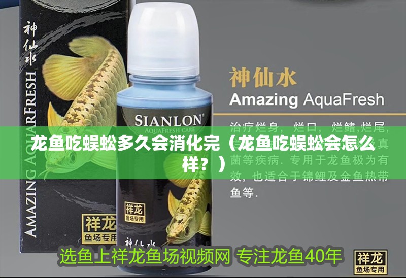 龍魚吃蜈蚣多久會消化完（龍魚吃蜈蚣會怎么樣？）