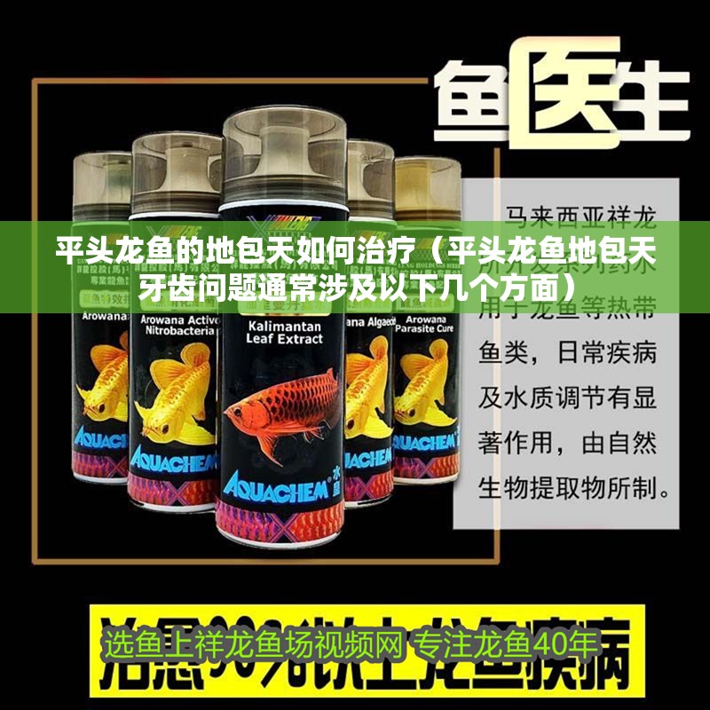 平頭龍魚的地包天如何治療（平頭龍魚地包天牙齒問題通常涉及以下幾個方面）