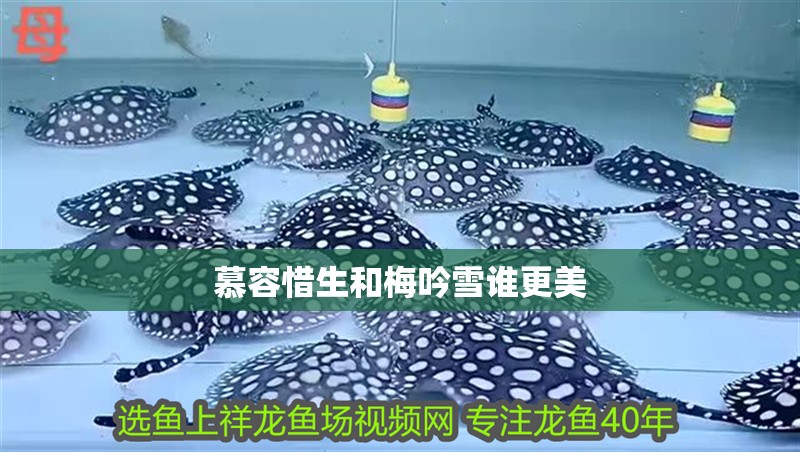慕容惜生和梅吟雪誰更美