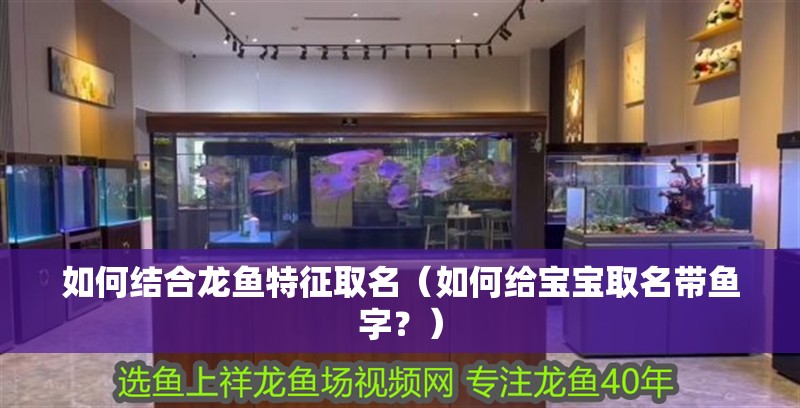 如何結合龍魚特征取名（如何給寶寶取名帶魚字？） 如何結合龍魚特征取名（如何給寶寶取名帶魚字？） 龍魚百科