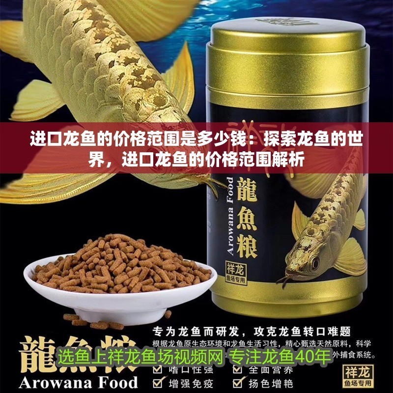進(jìn)口龍魚的價格范圍是多少錢：探索龍魚的世界，進(jìn)口龍魚的價格范圍解析 進(jìn)口龍魚的價格范圍是多少錢：探索龍魚的世界，進(jìn)口龍魚的價格范圍解析 水族問答