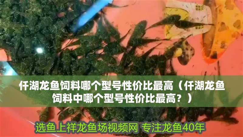 仟湖龍魚飼料哪個型號性價比最高（仟湖龍魚飼料中哪個型號性價比最高？） 仟湖龍魚飼料哪個型號性價比最高（仟湖龍魚飼料中哪個型號性價比最高？） 龍魚百科