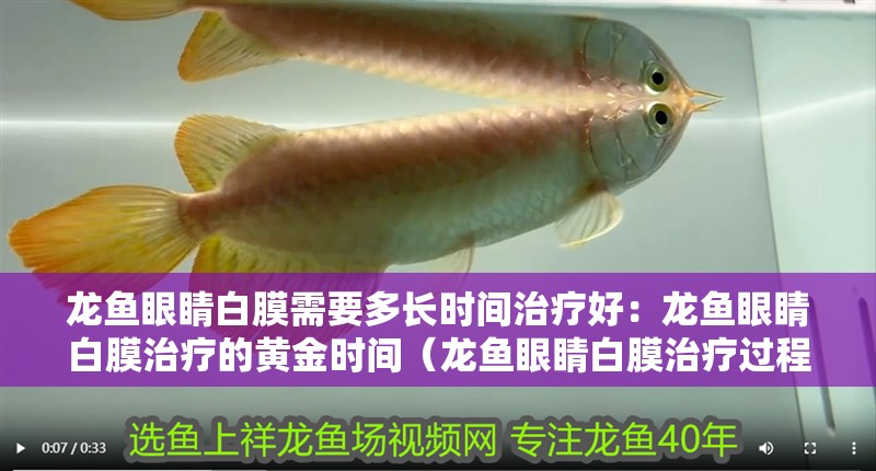 六角龍魚外鰓疾病有哪些癥狀？（六角恐龍魚快死的征兆）