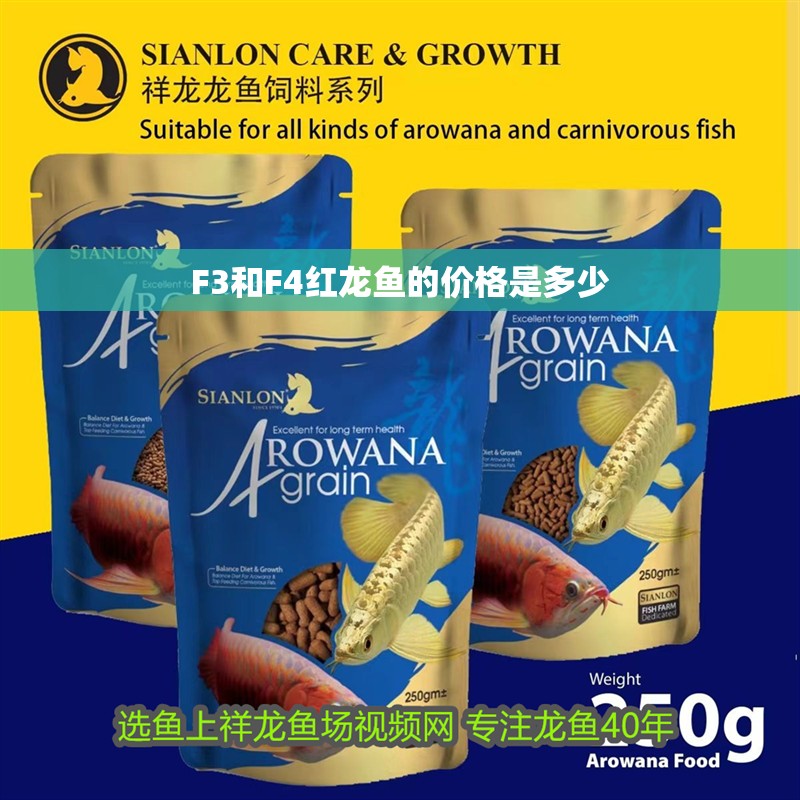 F3和F4紅龍魚的價格是多少