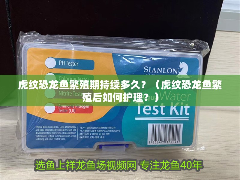 虎紋恐龍魚繁殖期持續(xù)多久？（虎紋恐龍魚繁殖后如何護(hù)理？） 虎紋恐龍魚繁殖期持續(xù)多久？（虎紋恐龍魚繁殖后如何護(hù)理？） 龍魚百科