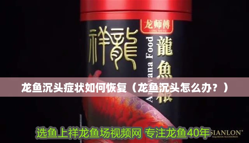 龍魚沉頭癥狀如何恢復（龍魚沉頭怎么辦？）