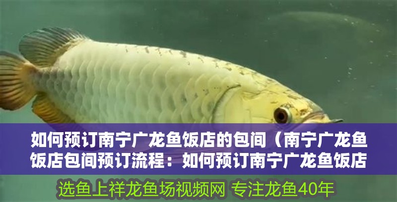 如何預訂南寧廣龍魚飯店的包間（南寧廣龍魚飯店包間預訂流程：如何預訂南寧廣龍魚飯店的包間） 如何預訂南寧廣龍魚飯店的包間（南寧廣龍魚飯店包間預訂流程：如何預訂南寧廣龍魚飯店的包間） 龍魚百科