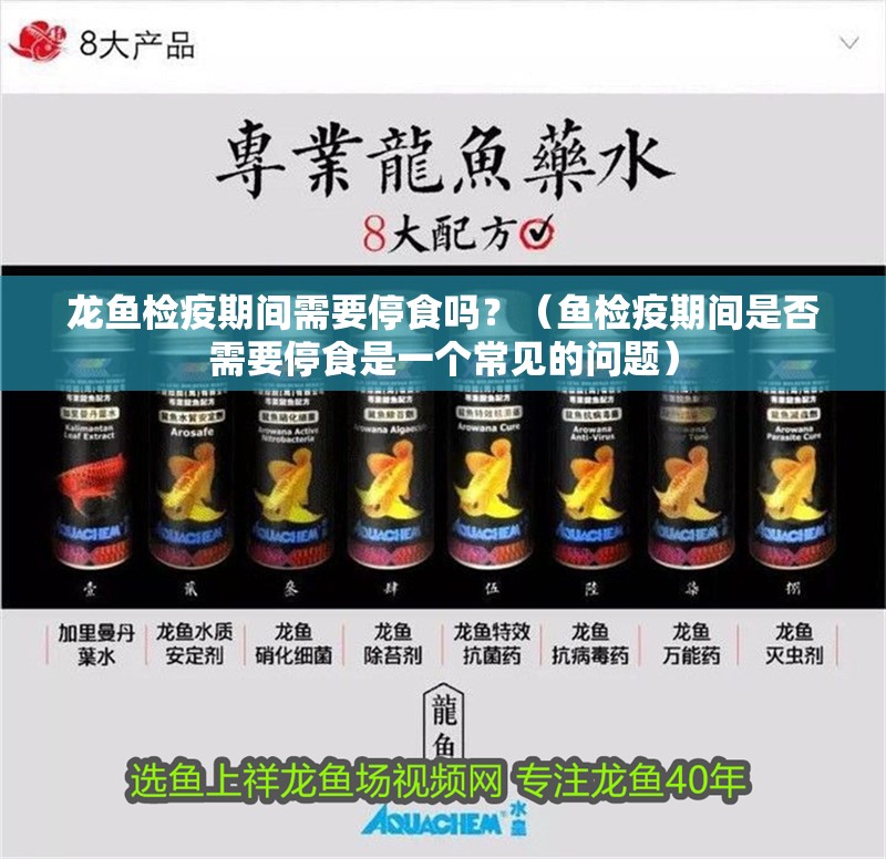 龍魚檢疫期間需要停食嗎？（魚檢疫期間是否需要停食是一個(gè)常見(jiàn)的問(wèn)題）