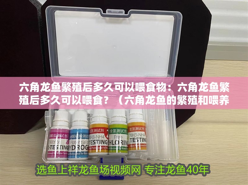 六角龍魚繁殖后多久可以喂食物：六角龍魚繁殖后多久可以喂食？（六角龍魚的繁殖和喂養(yǎng)）