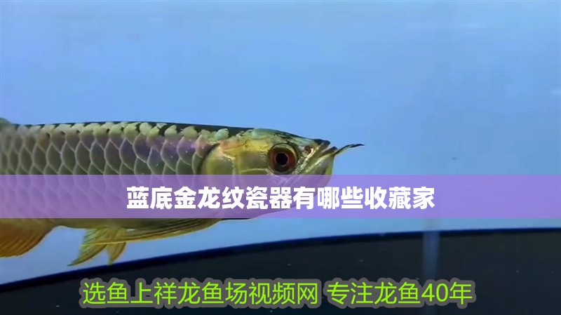 魚缸過濾器選購指南:自制魚缸過濾器魚缸上置過濾器對于養(yǎng)魚愛好者的必備知識 藍底金龍紋瓷器有哪些收藏家 龍魚百科 藍底金龍紋瓷器有哪些收藏家 藍底金龍紋瓷器有哪些收藏家 龍魚百科