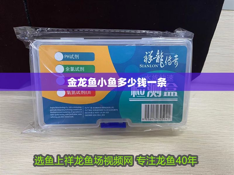 金龍魚小魚多少錢一條
