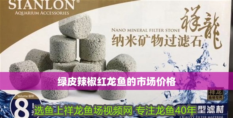 綠皮辣椒紅龍魚的市場價格
