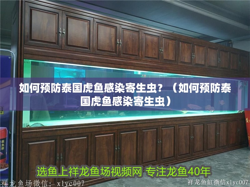 如何預防泰國虎魚感染寄生蟲？（如何預防泰國虎魚感染寄生蟲） 如何預防泰國虎魚感染寄生蟲？（如何預防泰國虎魚感染寄生蟲） 龍魚百科