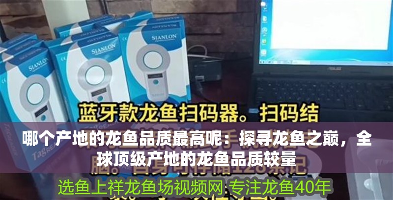 哪個產地的龍魚品質最高呢：探尋龍魚之巔，全球頂級產地的龍魚品質較量