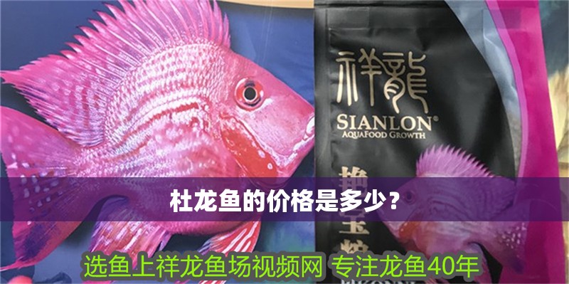 杜龍魚(yú)的價(jià)格是多少？