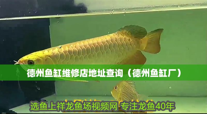 德州魚缸維修店地址查詢(德州魚缸廠) 全國水族館企業名錄 第1張 德州魚缸維修店地址查詢(德州魚缸廠) 德州魚缸維修店地址查詢(德州魚缸廠) 全國水族館企業名錄 第1張