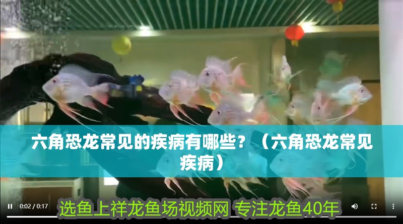 六角恐龍常見的疾病有哪些？（六角恐龍常見疾病）