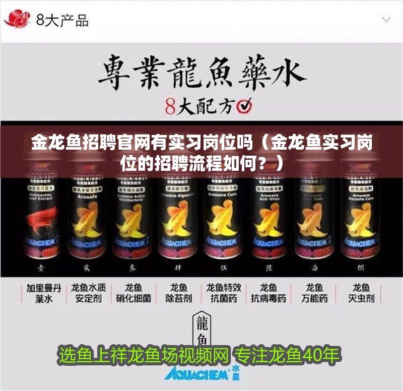 金龍魚招聘官網有實習崗位嗎（金龍魚實習崗位的招聘流程如何？）