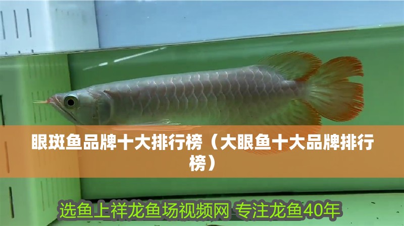 眼斑魚品牌十大排行榜（大眼魚十大品牌排行榜）