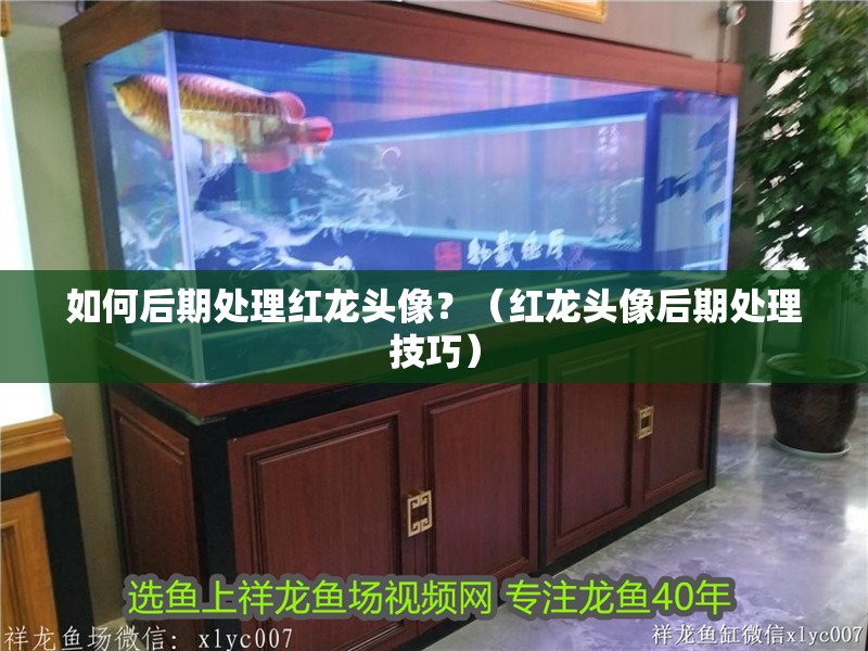 如何后期處理紅龍頭像？（紅龍頭像后期處理技巧）