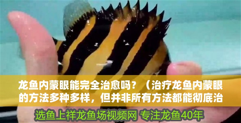 龍魚(yú)內(nèi)蒙眼能完全治愈嗎？（治療龍魚(yú)內(nèi)蒙眼的方法多種多樣，但并非所有方法都能徹底治愈）