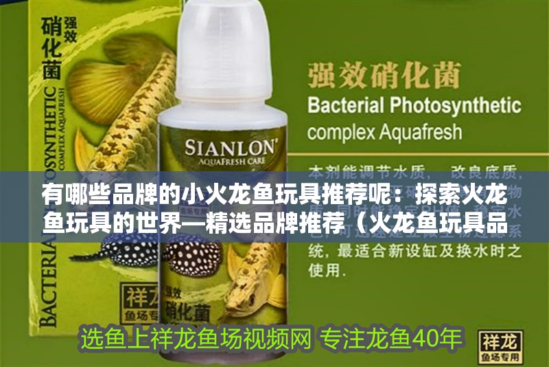 有哪些品牌的小火龍魚玩具推薦呢：探索火龍魚玩具的世界—精選品牌推薦（火龍魚玩具品牌火龍魚玩具設計脫穎而出：火龍魚玩具）
