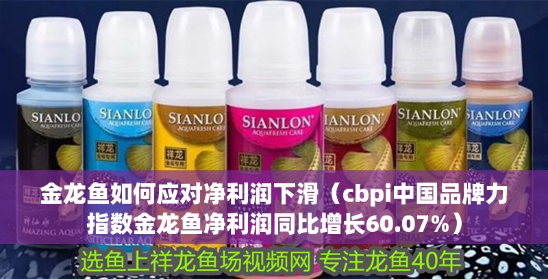 金龍魚如何應對凈利潤下滑（cbpi中國品牌力指數金龍魚凈利潤同比增長60.07%） 金龍魚如何應對凈利潤下滑（cbpi中國品牌力指數金龍魚凈利潤同比增長60.07%） 龍魚百科