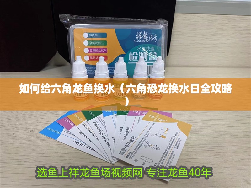 如何給六角龍魚換水（六角恐龍換水日全攻略）