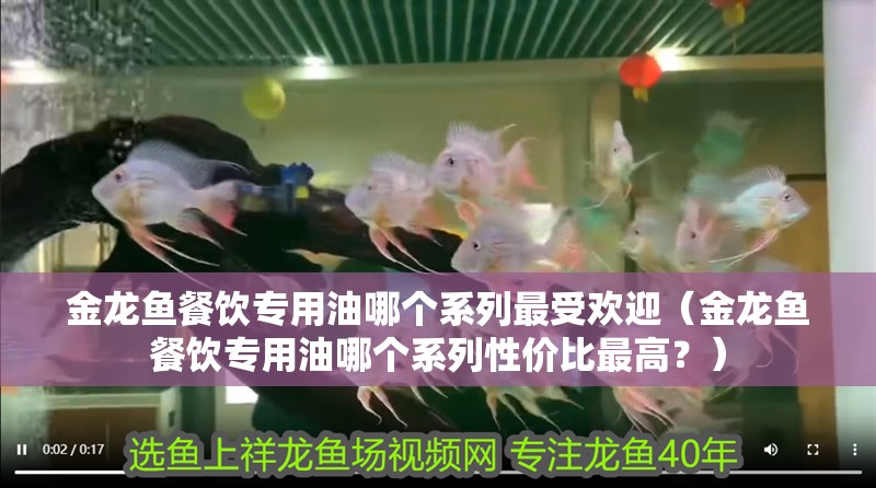 金龍魚(yú)餐飲專(zhuān)用油哪個(gè)系列最受歡迎（金龍魚(yú)餐飲專(zhuān)用油哪個(gè)系列性?xún)r(jià)比最高？）