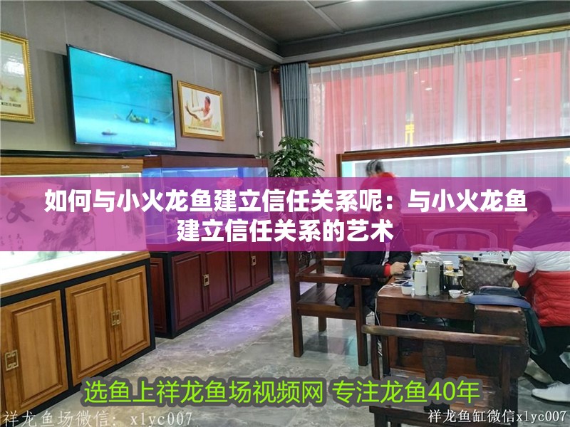 如何與小火龍魚建立信任關系呢：與小火龍魚建立信任關系的藝術