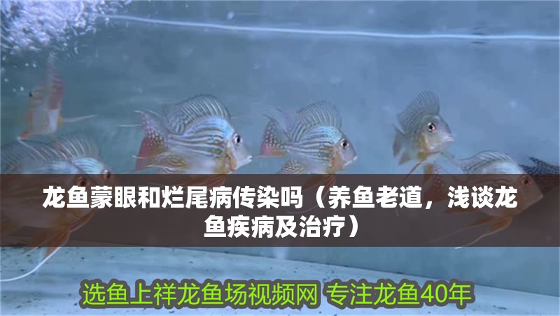 魚缸用增氧泵價格是多少:魚缸增氧機-xtrac增氧機-xtrac增氧機 龍魚蒙眼和爛尾病傳染嗎(養魚老道,淺談龍魚疾病及治療) 龍魚百科 龍魚蒙眼和爛尾病傳染嗎(養魚老道,淺談龍魚疾病及治療) 龍魚蒙眼和爛尾病傳染嗎(養魚老道,淺談龍魚疾病及治療) 龍魚百科