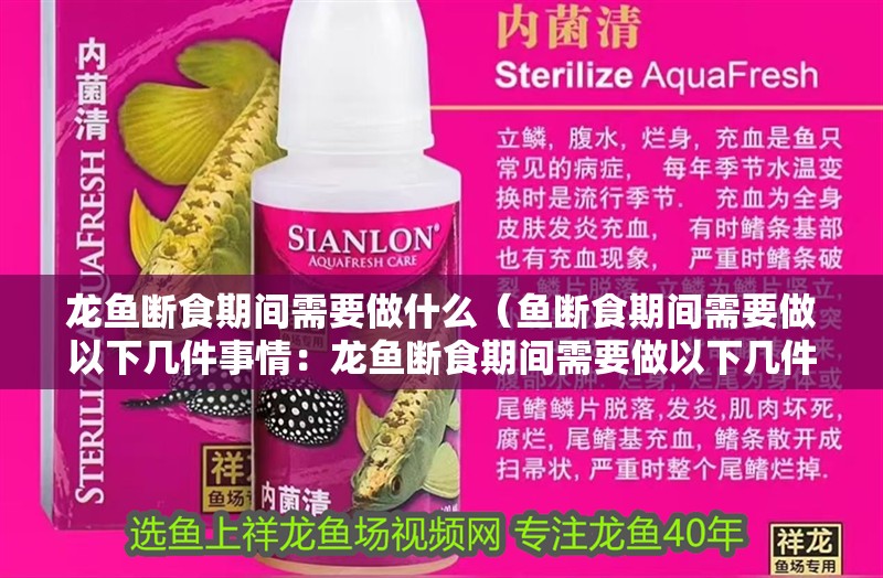 龍魚斷食期間需要做什么（魚斷食期間需要做以下幾件事情：龍魚斷食期間需要做以下幾件事情）