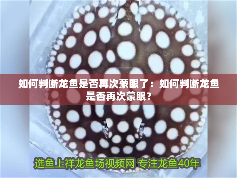 如何判斷龍魚是否再次蒙眼了：如何判斷龍魚是否再次蒙眼？