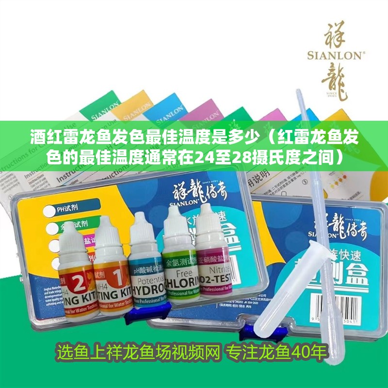 酒紅雷龍魚發色最佳溫度是多少（紅雷龍魚發色的最佳溫度通常在24至28攝氏度之間） 酒紅雷龍魚發色最佳溫度是多少（紅雷龍魚發色的最佳溫度通常在24至28攝氏度之間） 龍魚百科