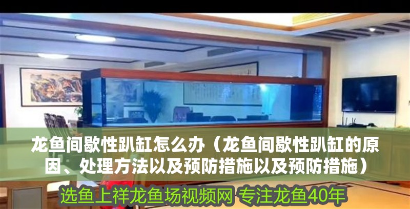 龍魚間歇性趴缸怎么辦（龍魚間歇性趴缸的原因、處理方法以及預防措施以及預防措施）